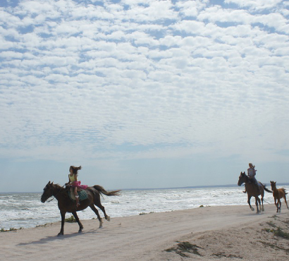 Passeggiata a cavallo